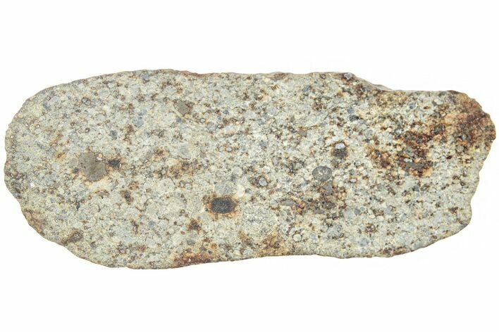 Polished Chondrite Meteorite Slice ( g) - Morocco #238060